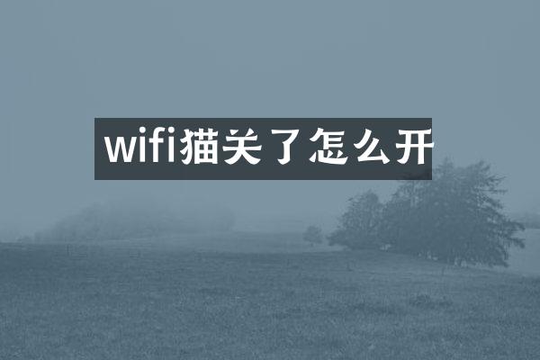 wifi猫关了怎么开