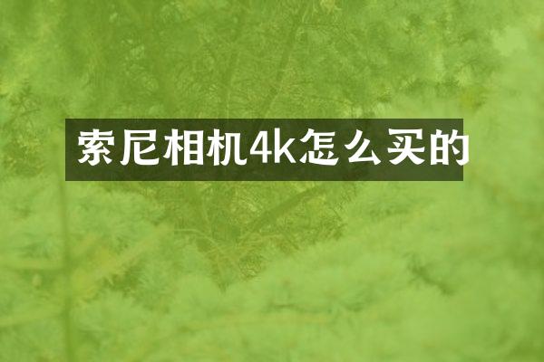 索尼相机4k怎么买的