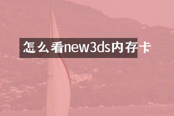 怎么看new3ds内存卡