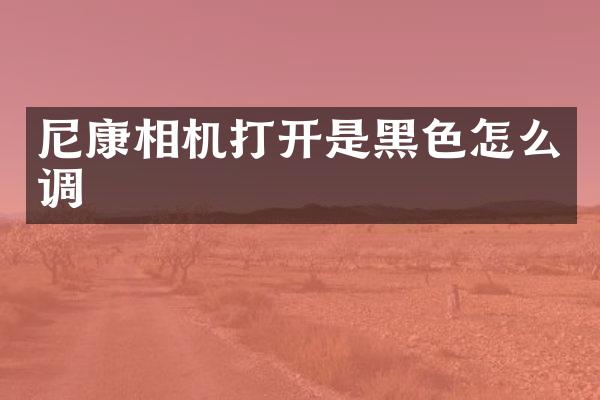 尼康相机打开是黑色怎么调