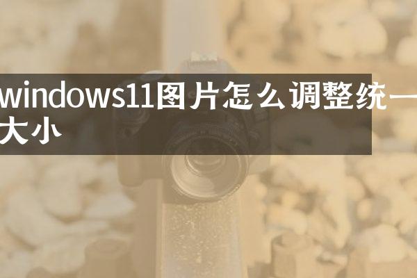 windows11图片怎么调整统一大小