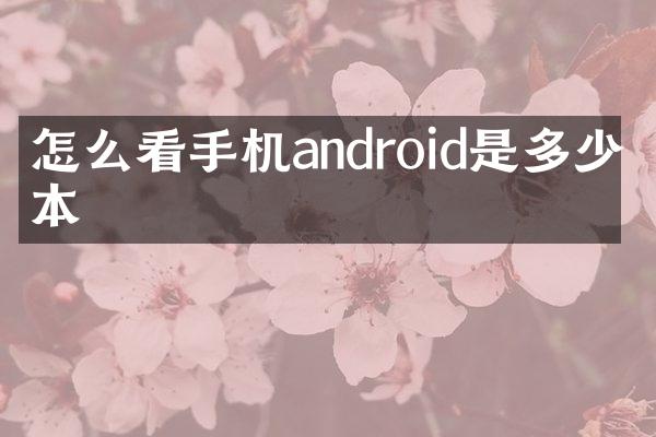 怎么看手机android是多少版本