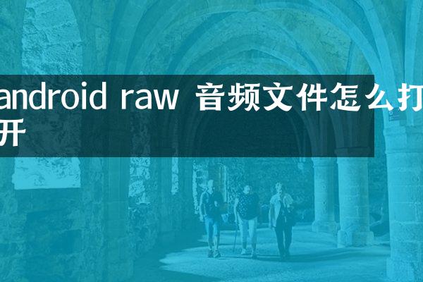 android raw 音频文件怎么打开