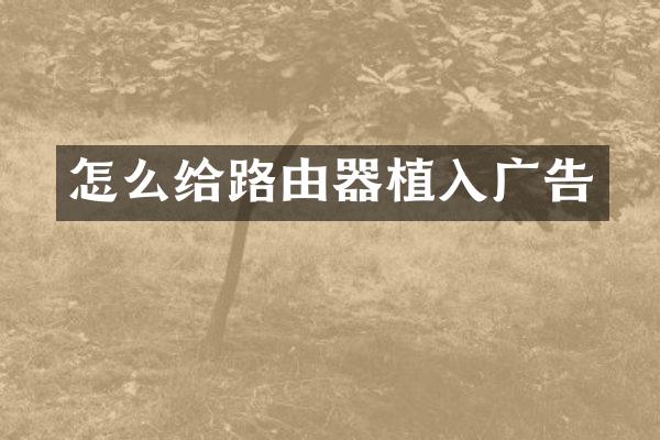 怎么给路由器植入广告