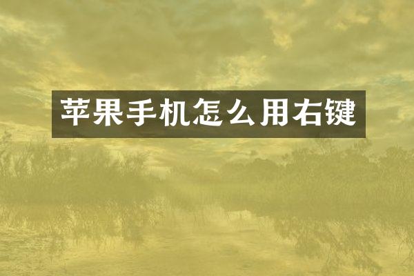 苹果手机怎么用右键