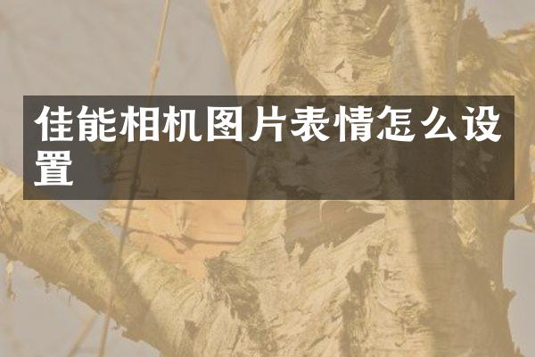 佳能相机图片表情怎么设置