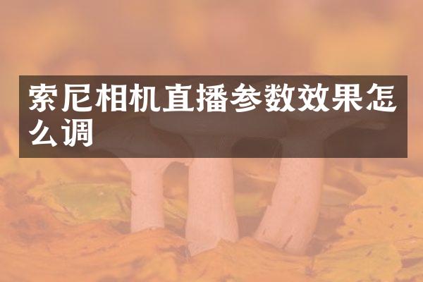 索尼相机直播参数效果怎么调