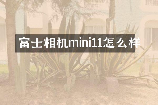 富士相机mini11怎么样