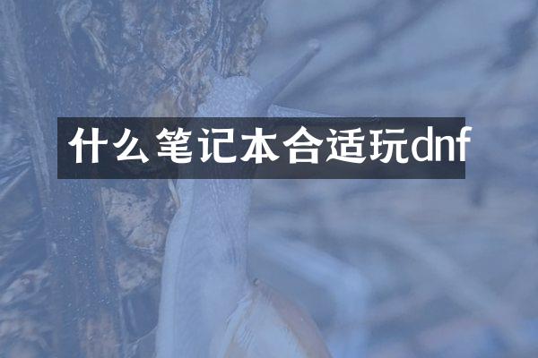 什么笔记本合适玩dnf