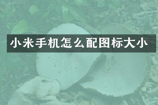 小米手机怎么配图标大小