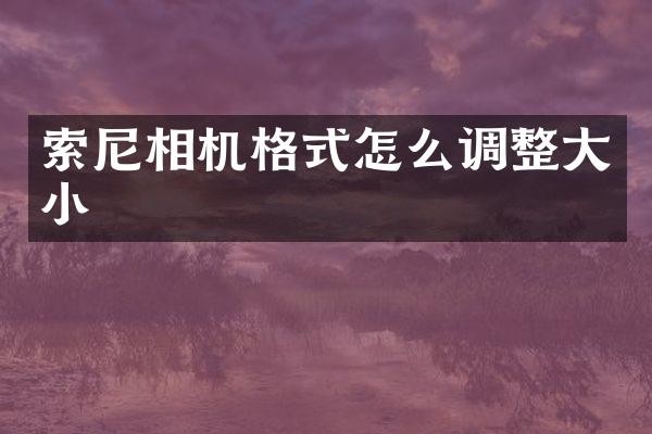 索尼相机格式怎么调整大小