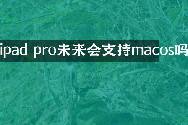 ipad pro未来会支持macos吗