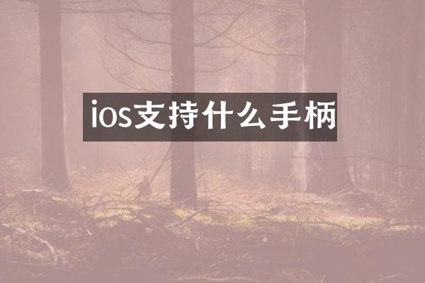 ios支持什么手柄