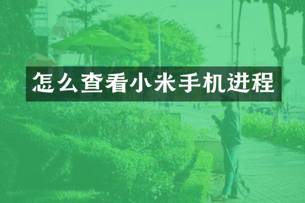 怎么查看小米手机进程