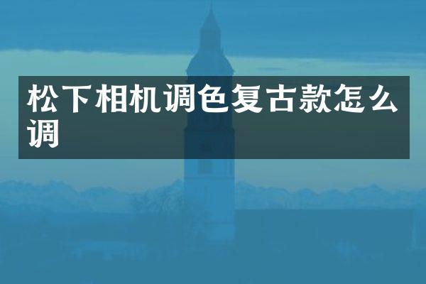 松下相机调色复古款怎么调