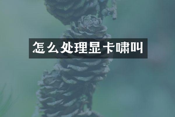 怎么处理显卡啸叫
