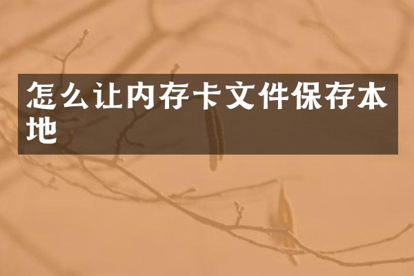 怎么让内存卡文件保存本地