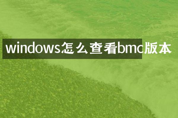 windows怎么查看bmc版本