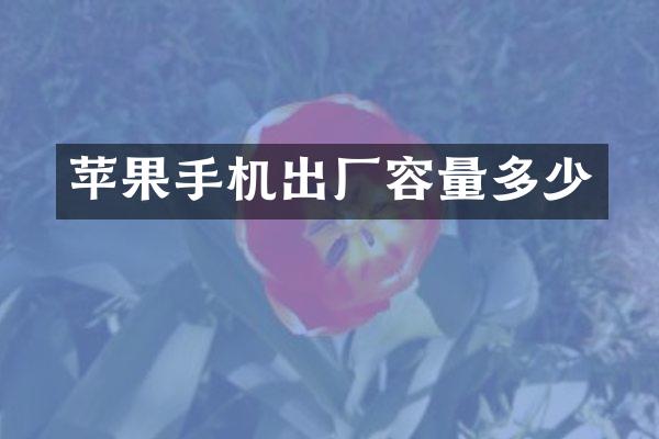 苹果手机出厂容量多少