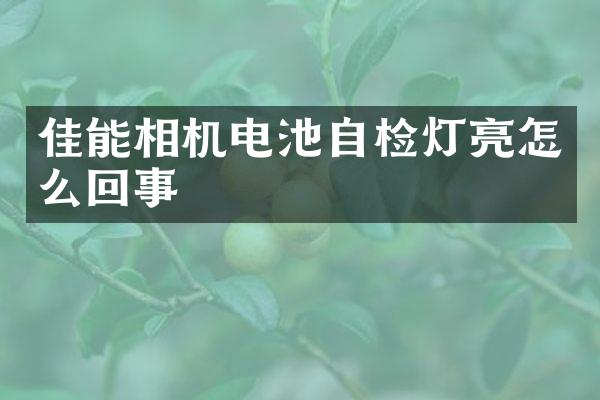 佳能相机电池自检灯亮怎么回事