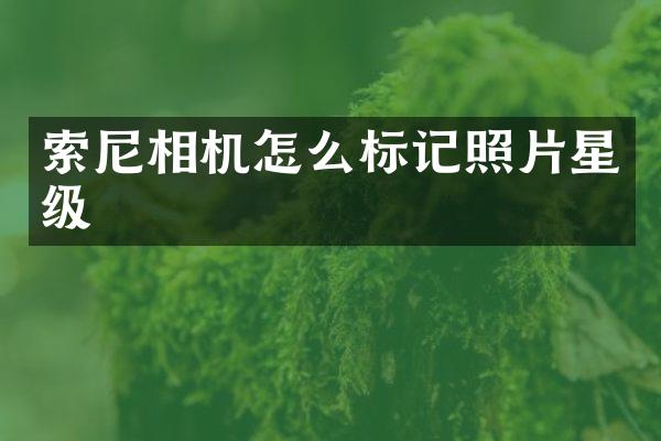 索尼相机怎么标记照片星级