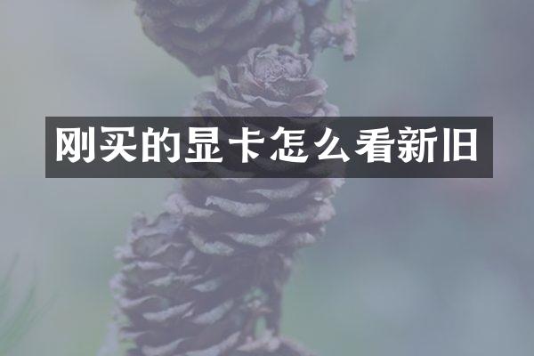 刚买的显卡怎么看新旧