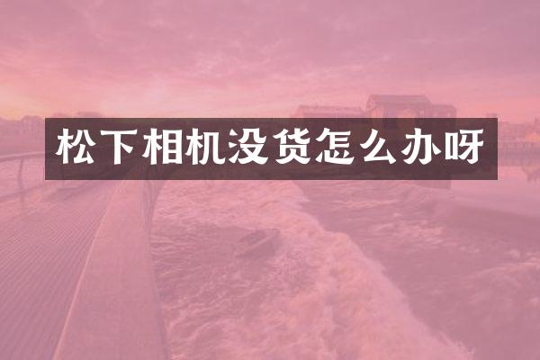 松下相机没货怎么办呀