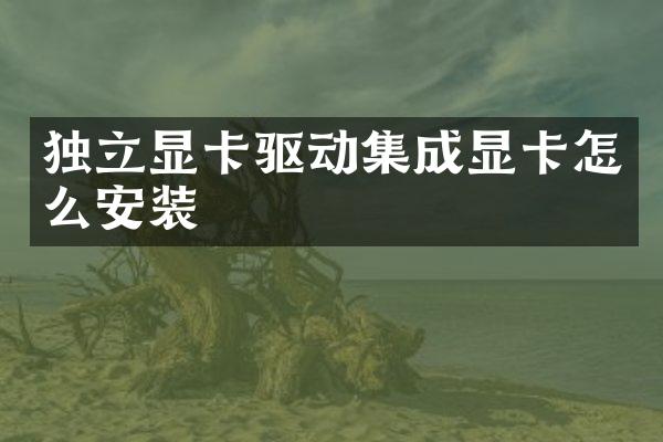 独立显卡驱动集成显卡怎么安装