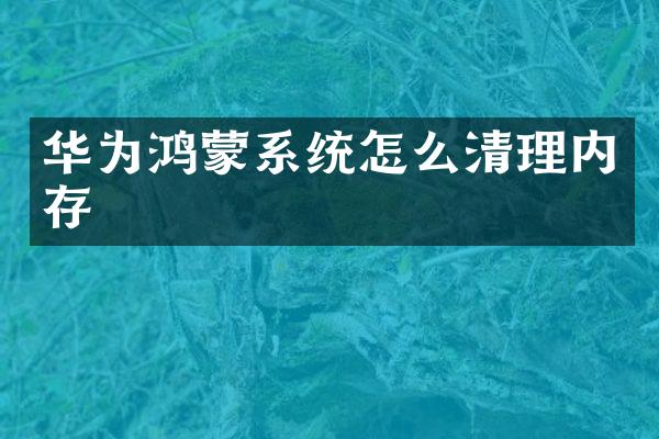 华为鸿蒙系统怎么清理内存