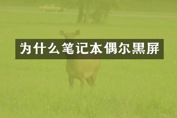 为什么笔记本偶尔黑屏