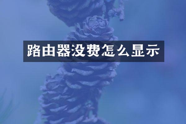 路由器没费怎么显示