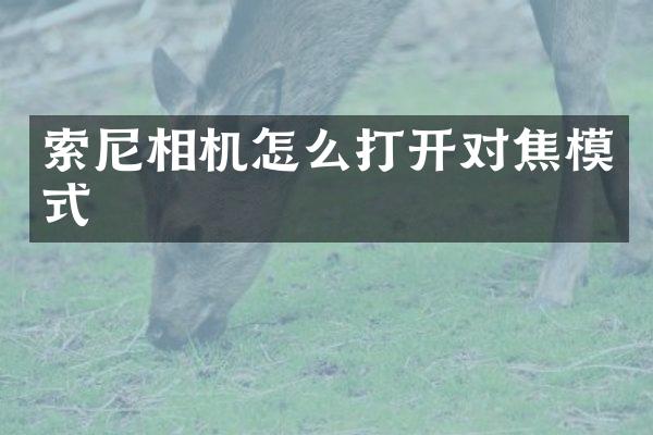 索尼相机怎么打开对焦模式