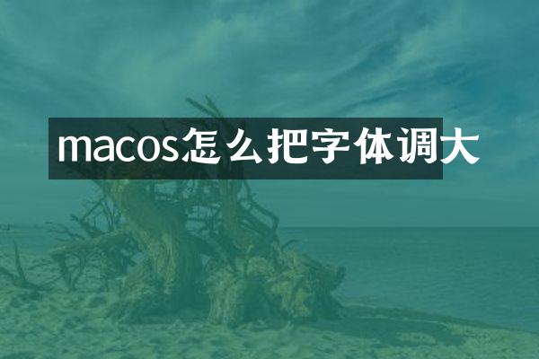 macos怎么把字体调大