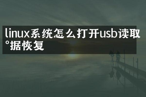 linux系统怎么打开usb读取数据恢复
