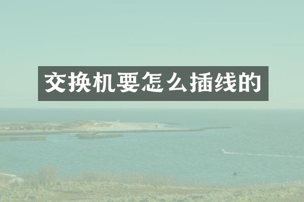 交换机要怎么插线的