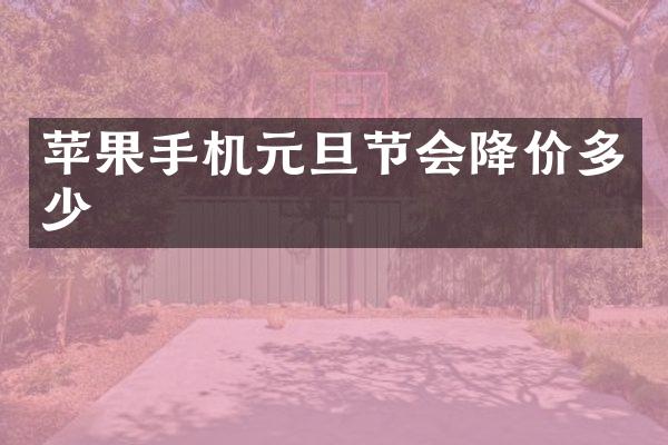 苹果手机元旦节会降价多少