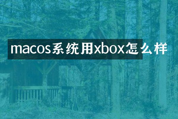 macos系统用xbox怎么样
