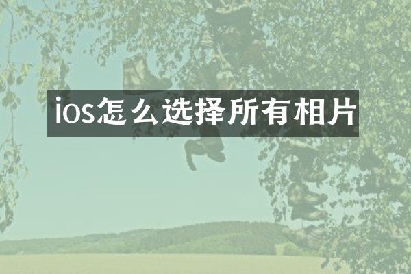 ios怎么选择所有相片