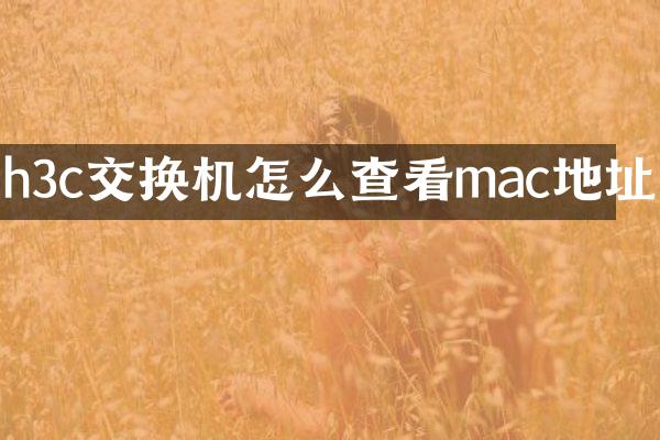 h3c交换机怎么查看mac地址