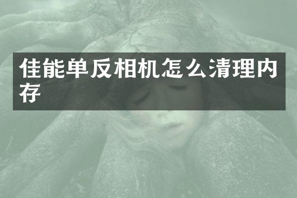 佳能单反相机怎么清理内存