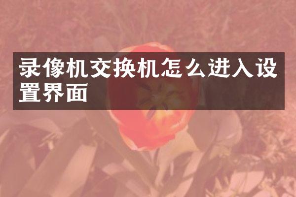 录像机交换机怎么进入设置界面