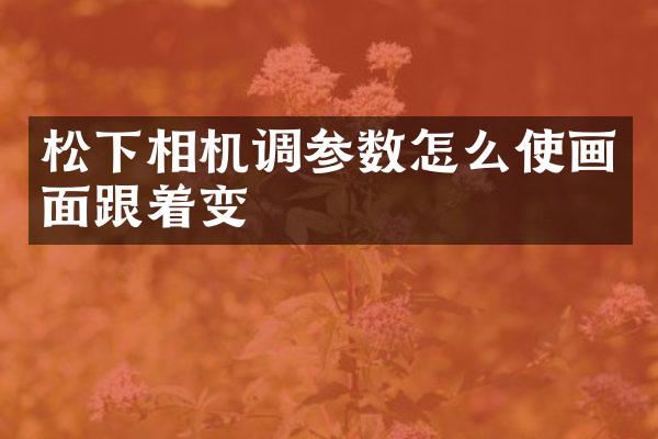 松下相机调参数怎么使画面跟着变