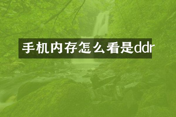 手机内存怎么看是ddr