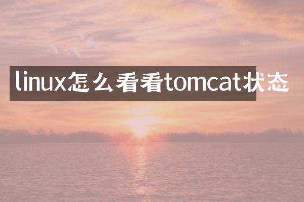 linux怎么看看tomcat状态