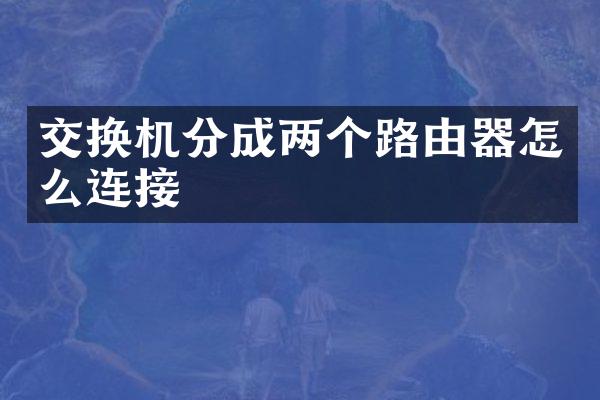 交换机分成两个路由器怎么连接