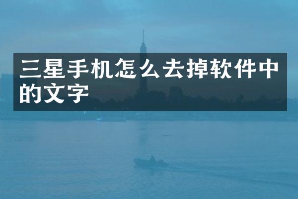 三星手机怎么去掉软件中的文字