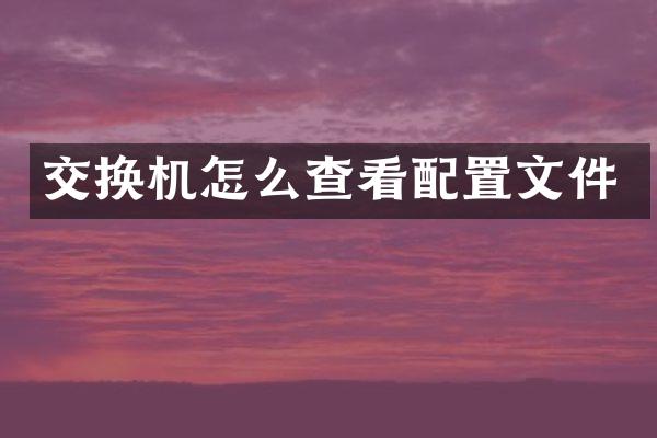 交换机怎么查看配置文件