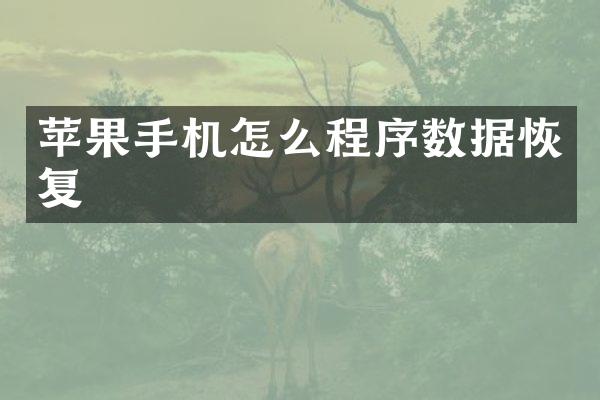 苹果手机怎么程序数据恢复