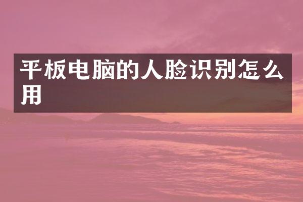 平板电脑的人脸识别怎么用
