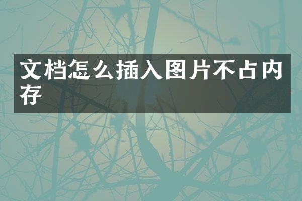 文档怎么插入图片不占内存